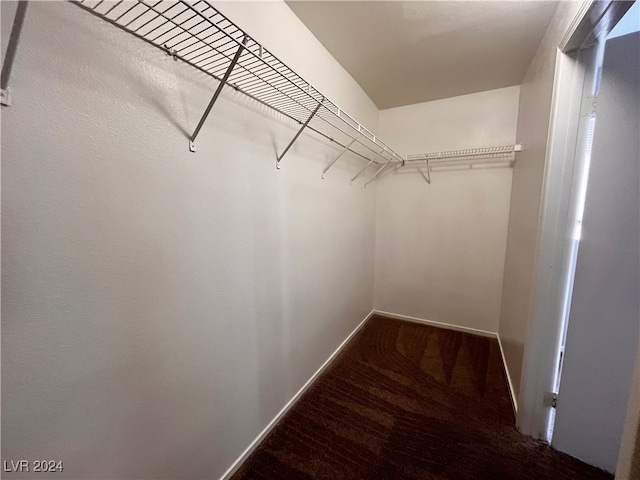 spacious closet featuring dark hardwood / wood-style floors