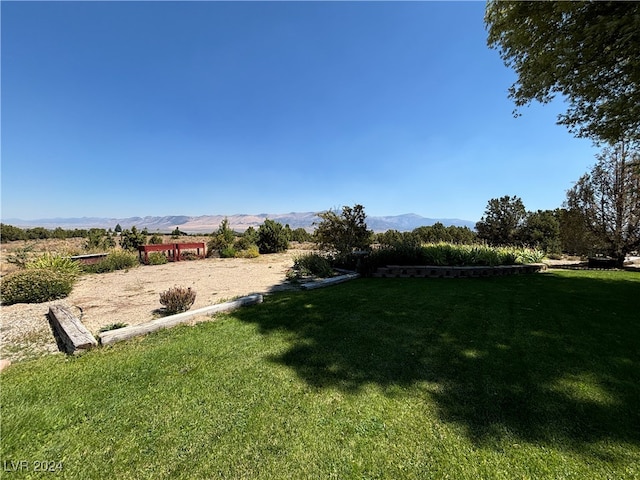 view of yard featuring a mountain view