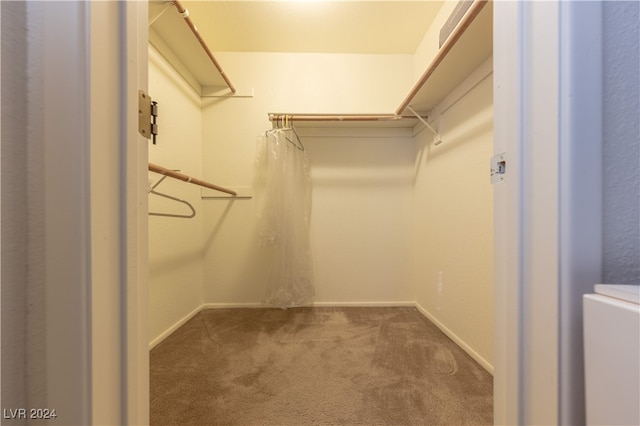 walk in closet with carpet