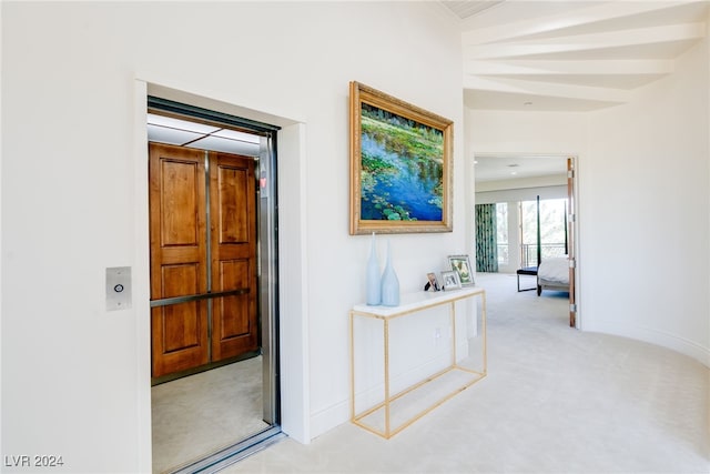 hallway with light colored carpet and elevator