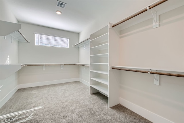 spacious closet with light colored carpet