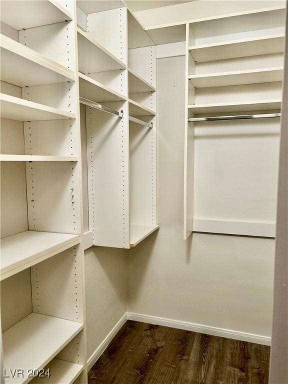 walk in closet with dark wood-type flooring
