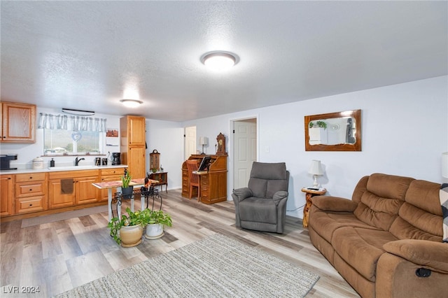 living room featuring sink, a textured ceiling, and light hardwood / wood-style flooring