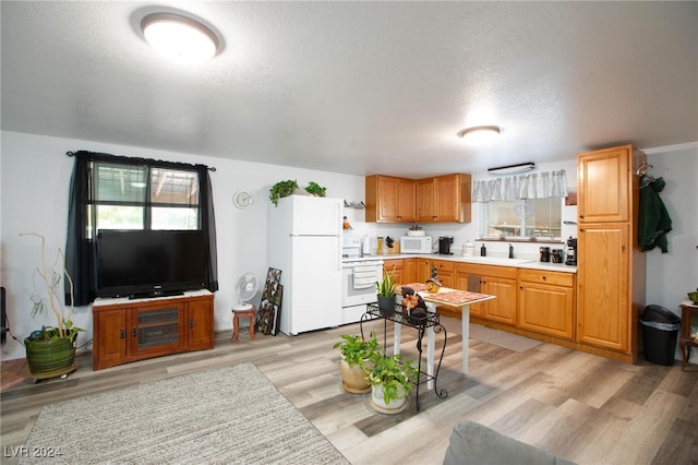 kitchen featuring sink, light hardwood / wood-style flooring, a textured ceiling, and white appliances