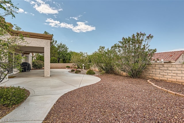 view of yard featuring a patio