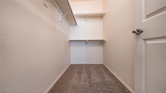 spacious closet featuring carpet floors