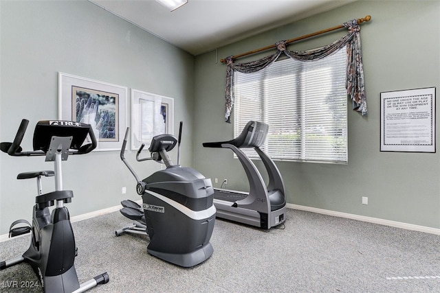 workout area featuring carpet