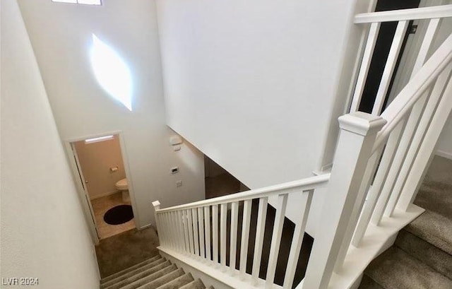 stairway with carpet