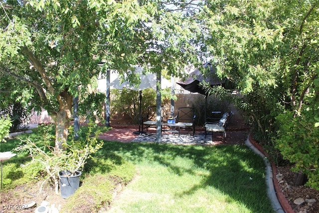 view of yard with a patio