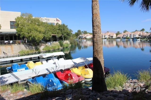 dock area with a water view