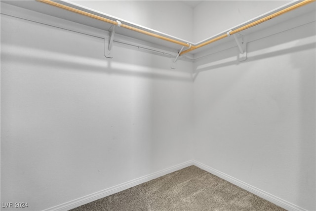 spacious closet featuring carpet flooring