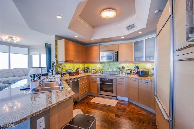 kitchen featuring backsplash, appliances with stainless steel finishes, a raised ceiling, dark wood-type flooring, and sink