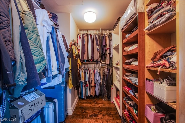 spacious closet with dark wood-type flooring