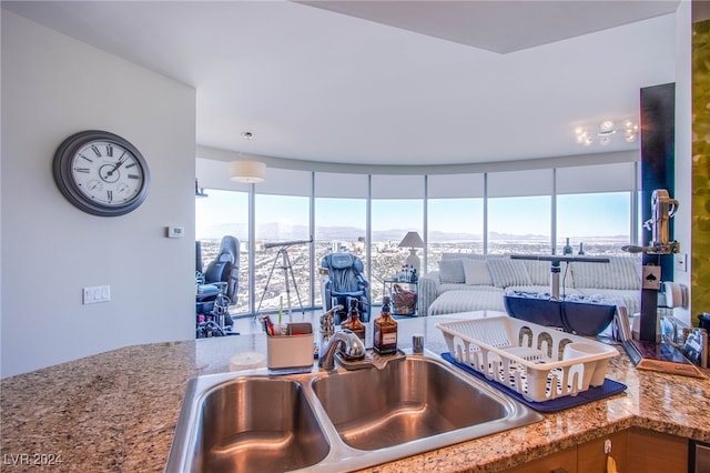 kitchen featuring sink, light stone counters, and plenty of natural light