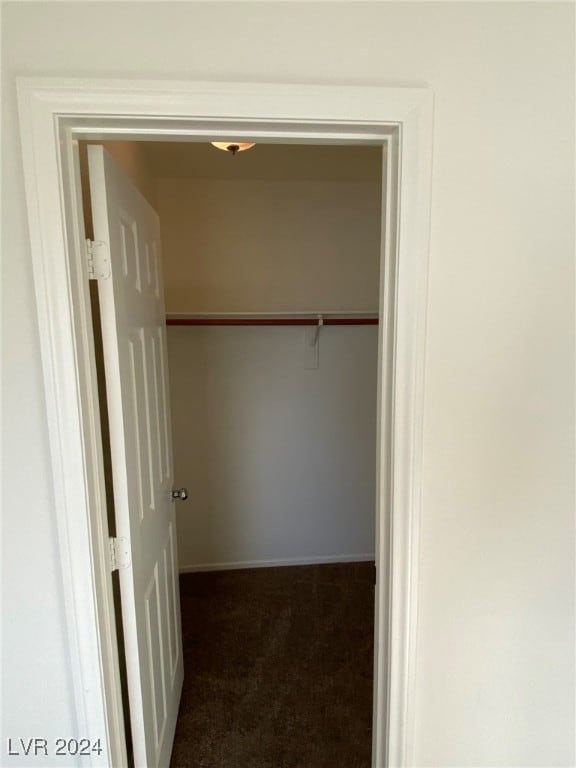 walk in closet with dark colored carpet