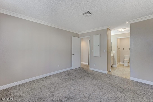 carpeted spare room featuring ornamental molding and a textured ceiling