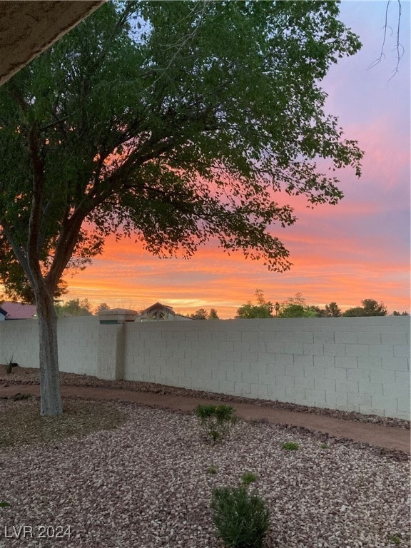 view of yard at dusk