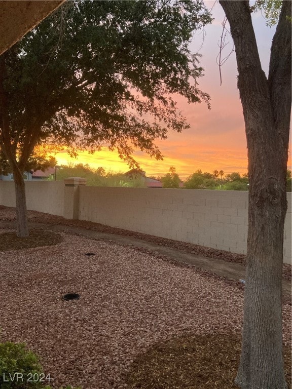 view of yard at dusk