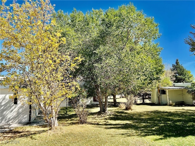 291E Madison Ave, Ely, NV 89301 - view of green lawn