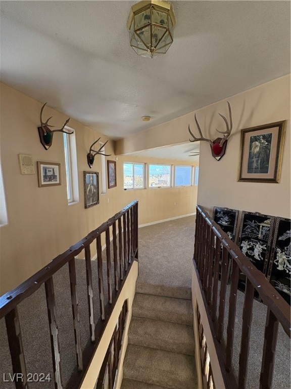 291E Madison Ave, Ely, NV 89301 - stairs featuring carpet and baseboards