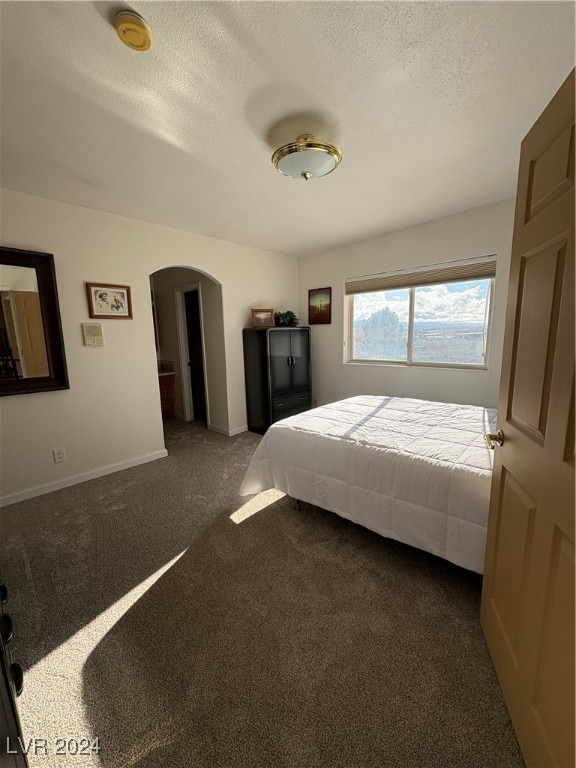 291E Madison Ave, Ely, NV 89301 - bedroom featuring arched walkways, dark carpet, and a textured ceiling