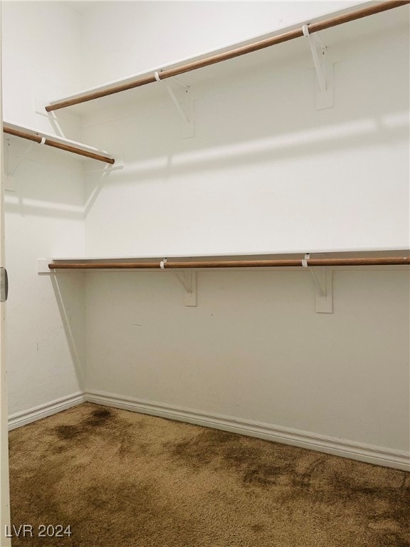 walk in closet featuring carpet flooring