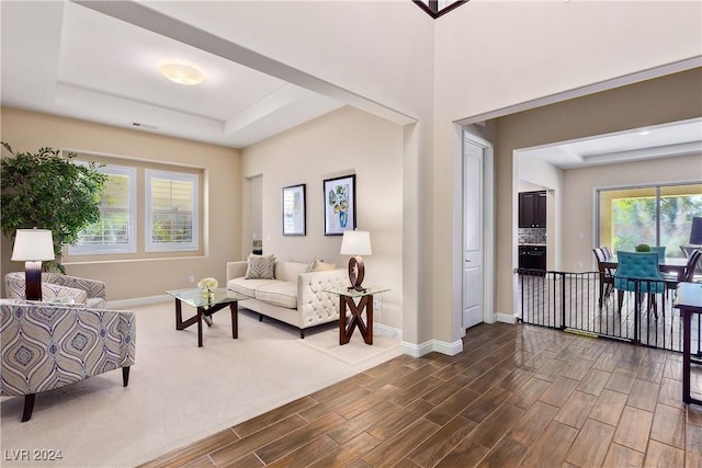 living room with a raised ceiling