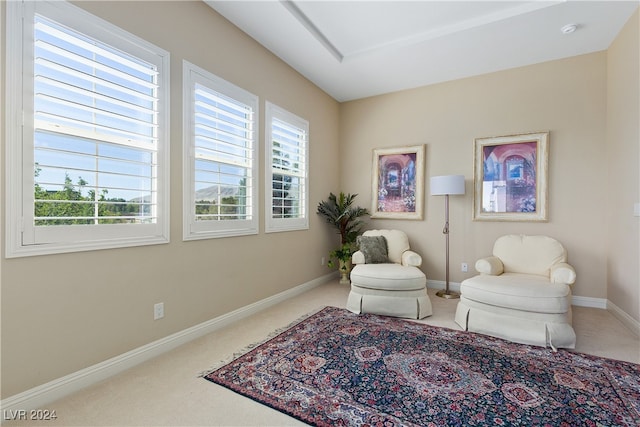 sitting room featuring carpet