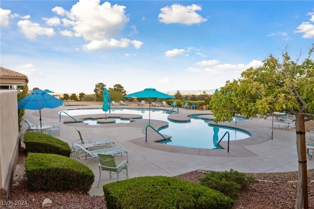 view of swimming pool with a patio