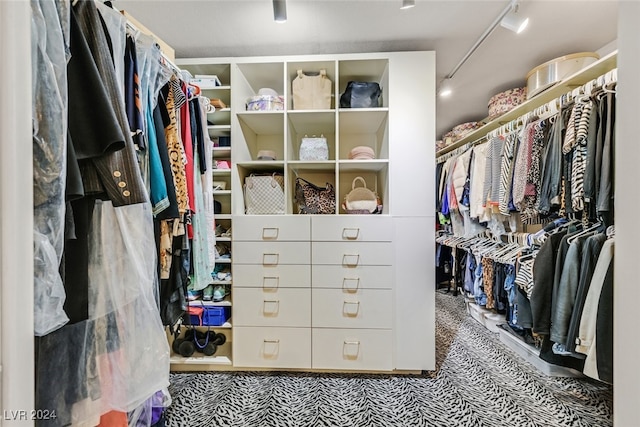 walk in closet featuring carpet flooring