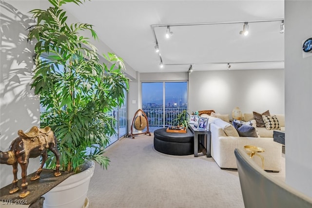 living room featuring carpet and rail lighting