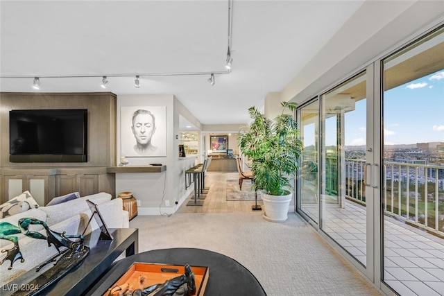 living room with track lighting and light colored carpet