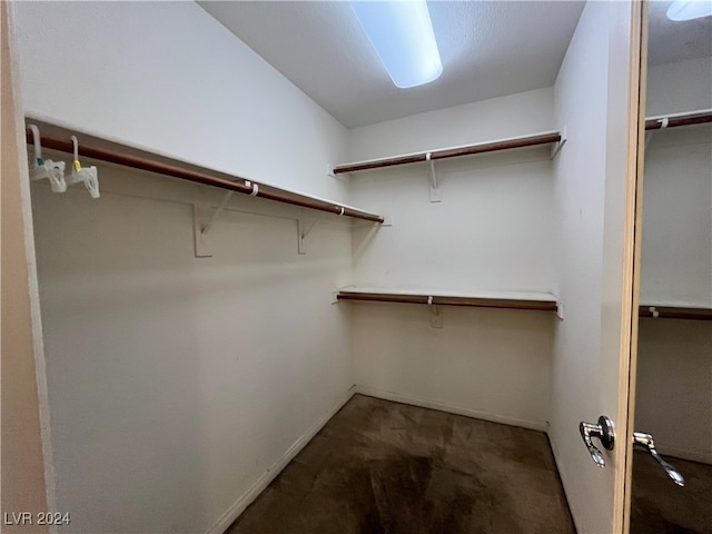 spacious closet featuring carpet flooring