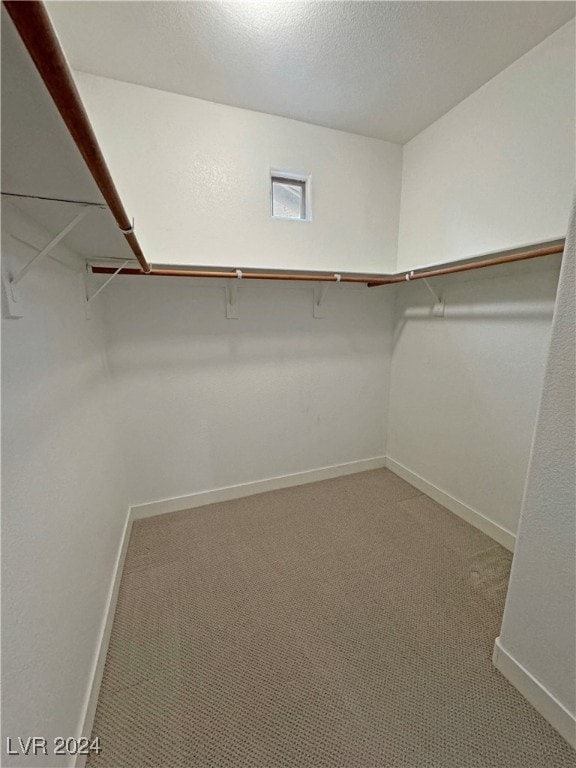 walk in closet with carpet