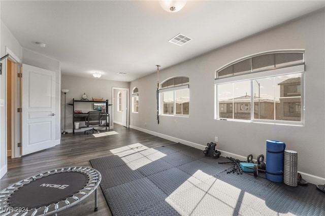 exercise area with dark hardwood / wood-style floors