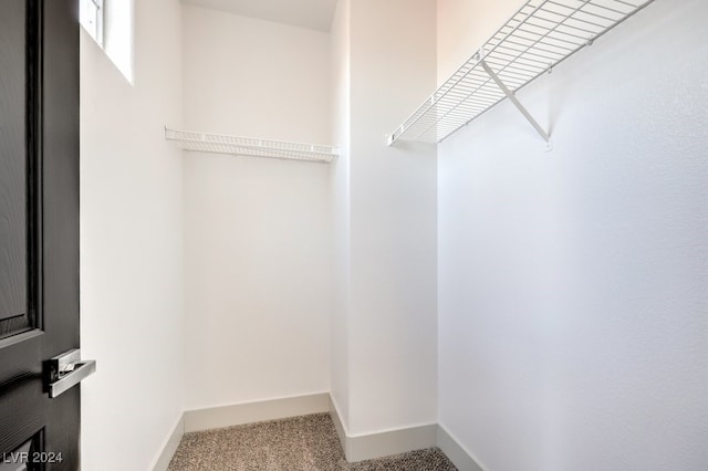 walk in closet featuring carpet