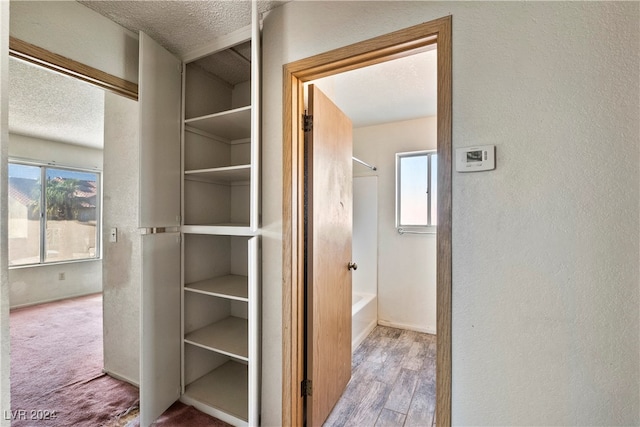 hallway with a textured ceiling, a healthy amount of sunlight, and wood-type flooring