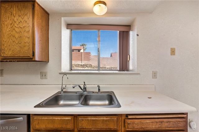 kitchen with sink and dishwasher