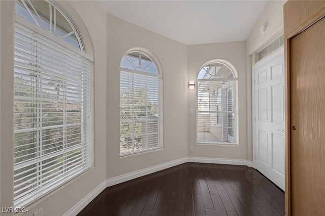 spare room featuring dark hardwood / wood-style floors and plenty of natural light