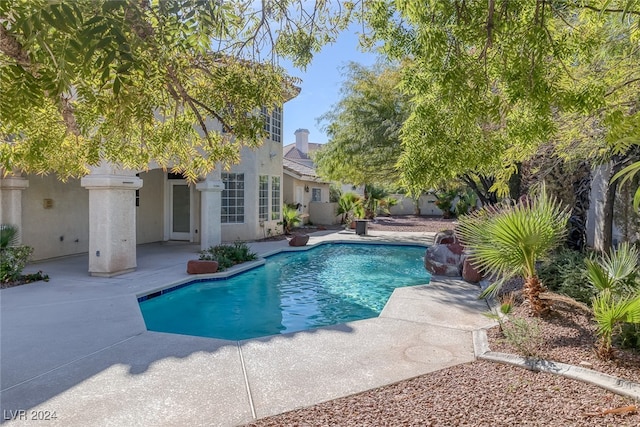 view of pool with a patio