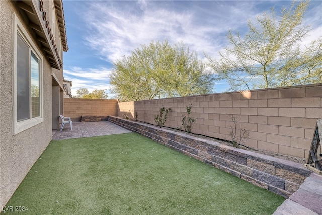 view of yard with a patio area