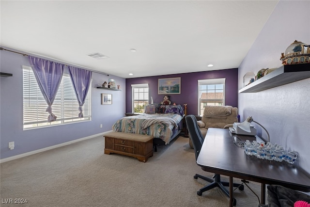 bedroom with carpet flooring