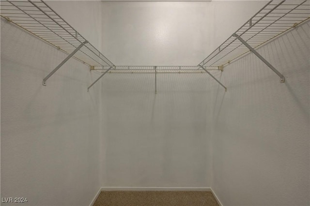 walk in closet with carpet floors