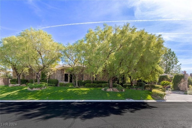 obstructed view of property featuring a front yard