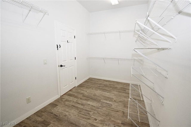 spacious closet featuring wood finished floors