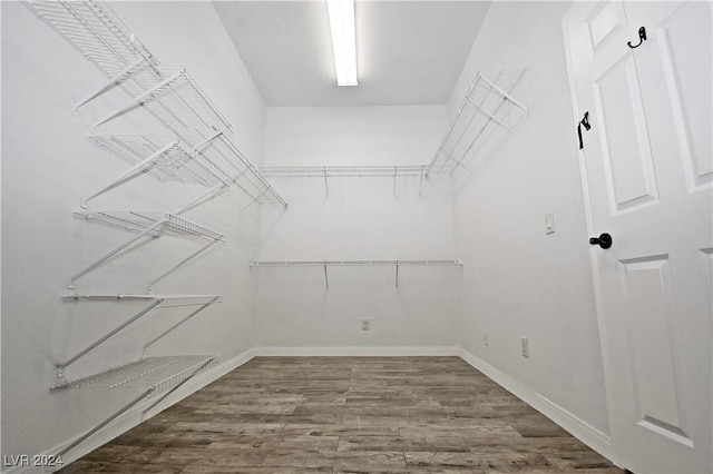 walk in closet featuring wood finished floors