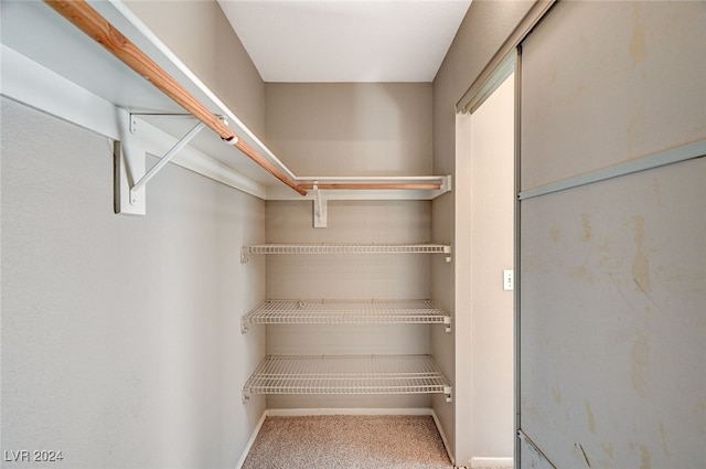 walk in closet featuring carpet