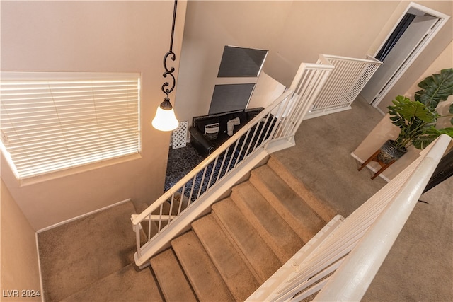 stairs featuring carpet floors