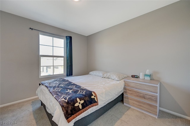 bedroom with carpet