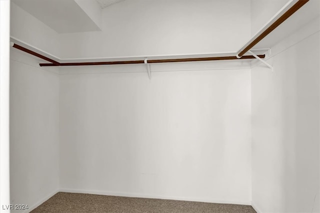 walk in closet with carpet floors